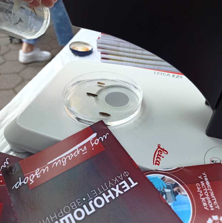 Tehnoloski fakultet 11