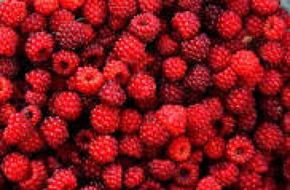 maline