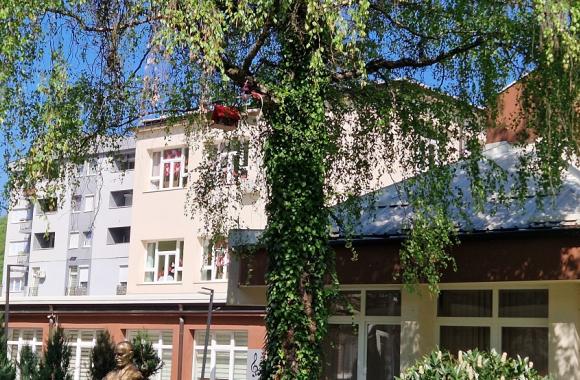 Zvornik kucica za ptice