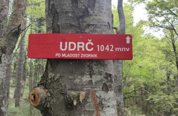 udrc mladost