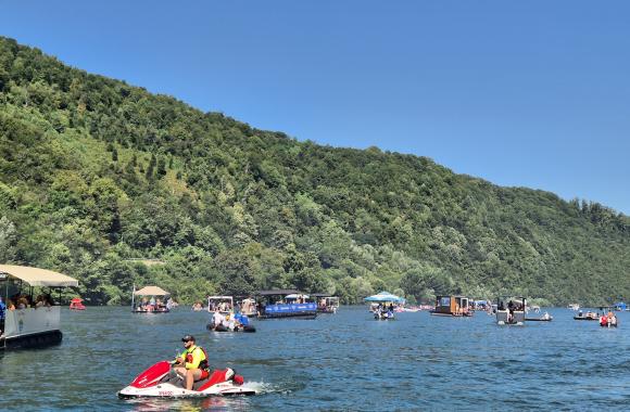 regata drina