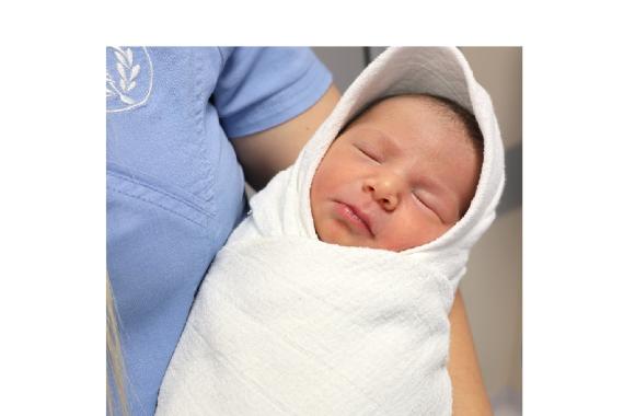 bebe