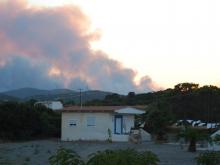RODOS