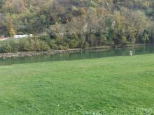 DRINA