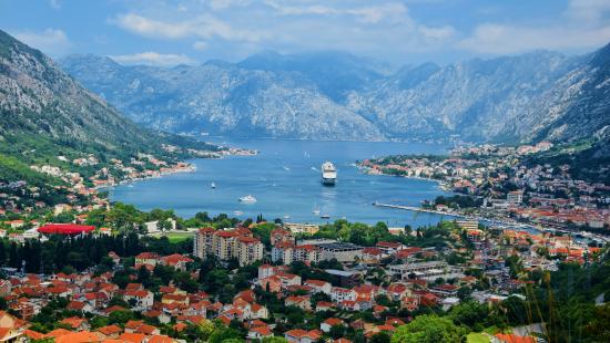 kotor b.s