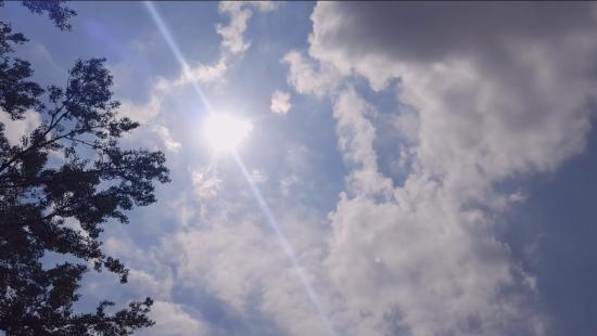 sunce